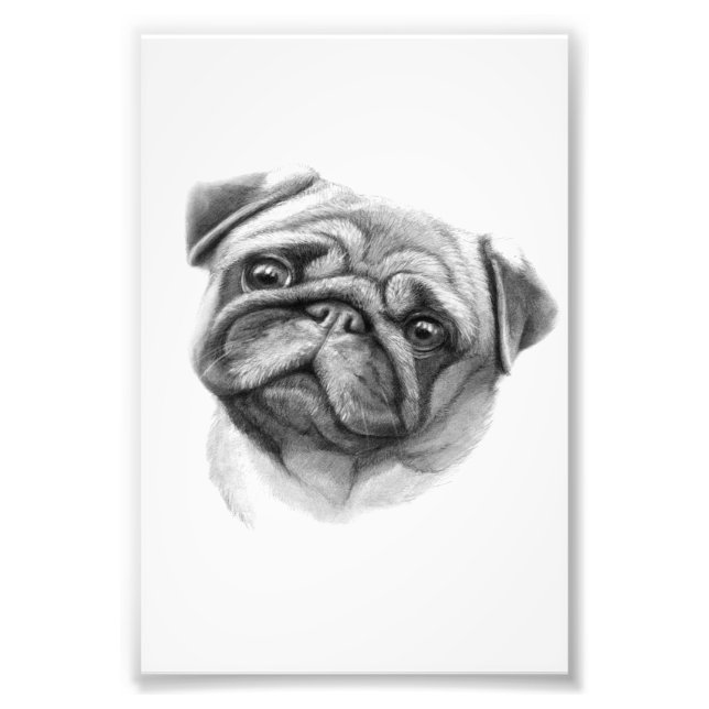 The Pug Portrait | Cute Pug Dog Face Photo Print (Front)