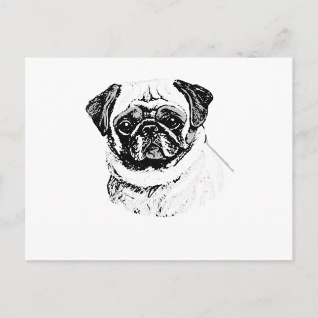 THE PUG POSTCARD (Front)