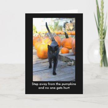 The Pumpkin Guardian Cat Halloween Humor Card by time2see at Zazzle