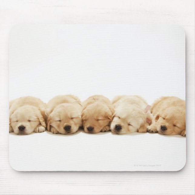 The puppies of the Golden Retriever Mouse Pad (Front)