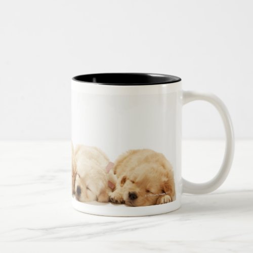 The puppies of the Golden Retriever Two_Tone Coffee Mug