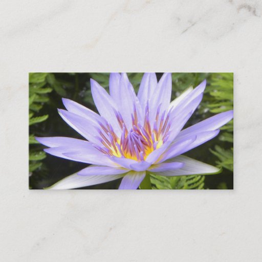 Customizable The Purple Lotus Business Card Template