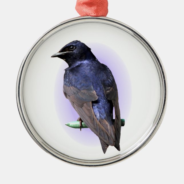 The Purple Martin Metal Ornament (Front)