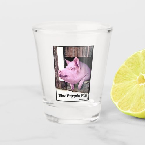 The Purple Pig Shot glass