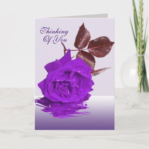The Purple Rose Thinking of you Card