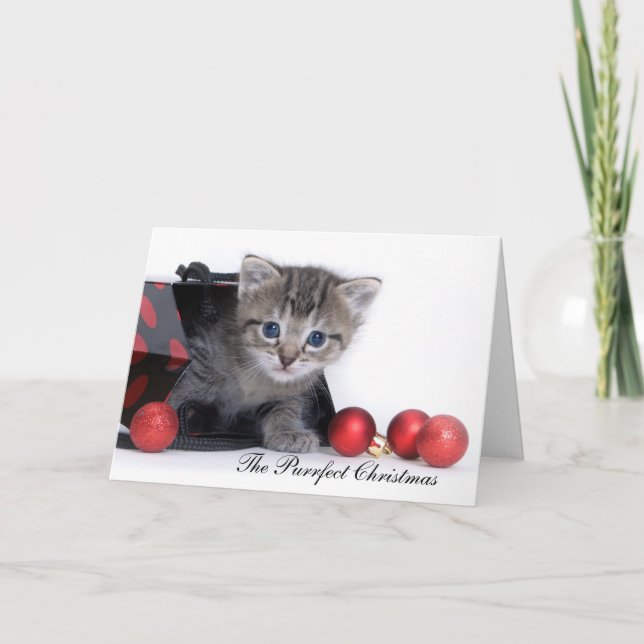 The Purrfect Christmas Card (Front)