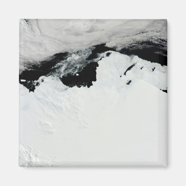 The Queen Mary Coast of Antarctica Magnet (Front)