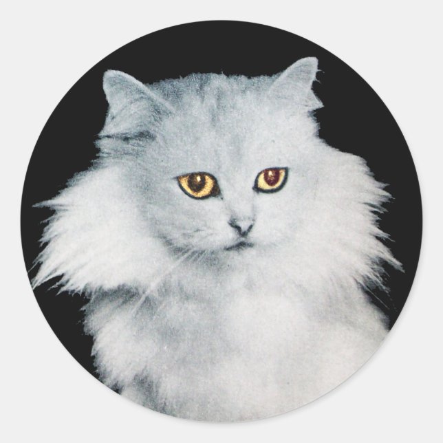 THE QUEEN OF WHITE CATS CLASSIC ROUND STICKER (Front)