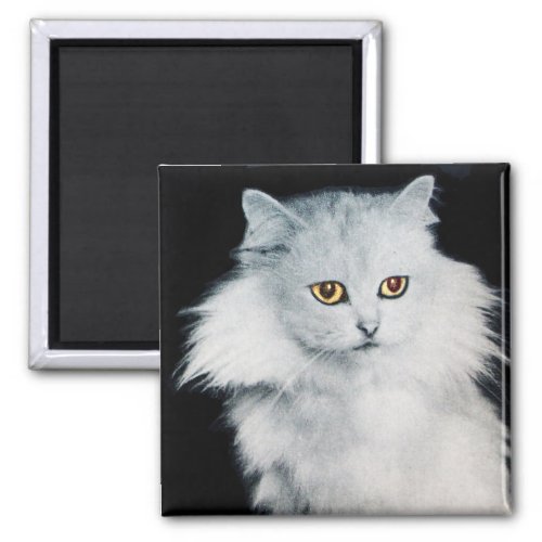 THE QUEEN OF WHITE CATS MAGNET