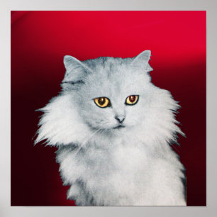 THE QUEEN OF WHITE CATS ,Red Burgundy Poster