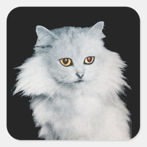 THE QUEEN OF WHITE CATS SQUARE STICKER