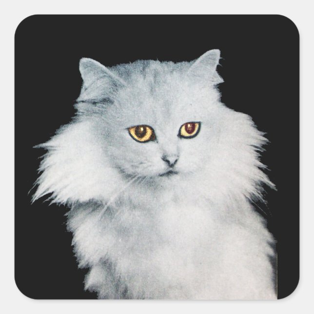 THE QUEEN OF WHITE CATS SQUARE STICKER (Front)