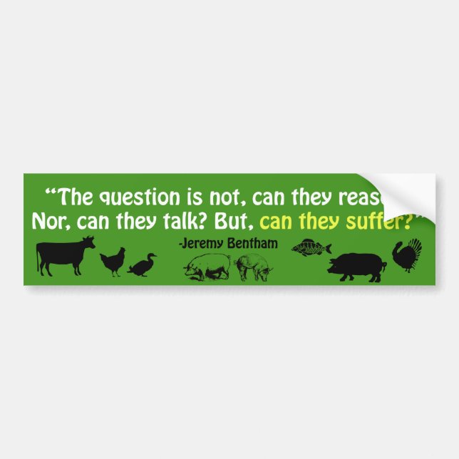 The question is not, can they reason?... bumper sticker (Front)