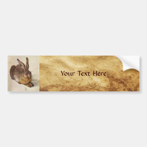 THE RABBIT  Young Hare  Bumper Sticker