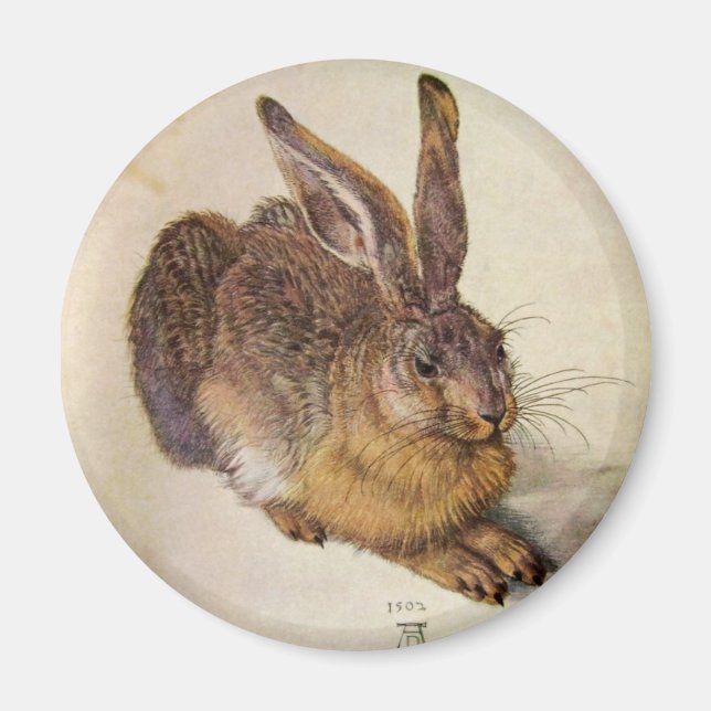 THE RABBIT ( Young Hare ) Magnet (Front)