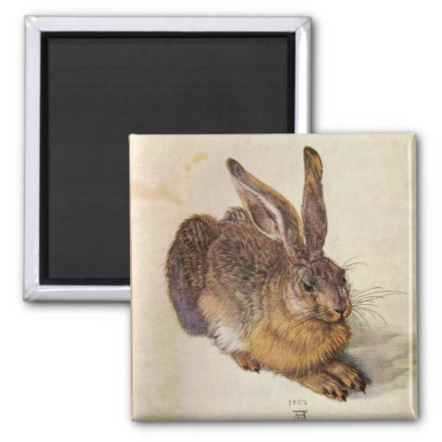 THE RABBIT  Young Hare  Magnet