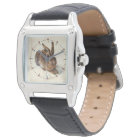 THE RABBIT ( Young Hare )