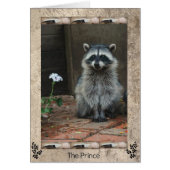 The Raccoon Prince (Front)