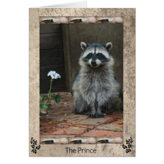 The Raccoon Prince Cards