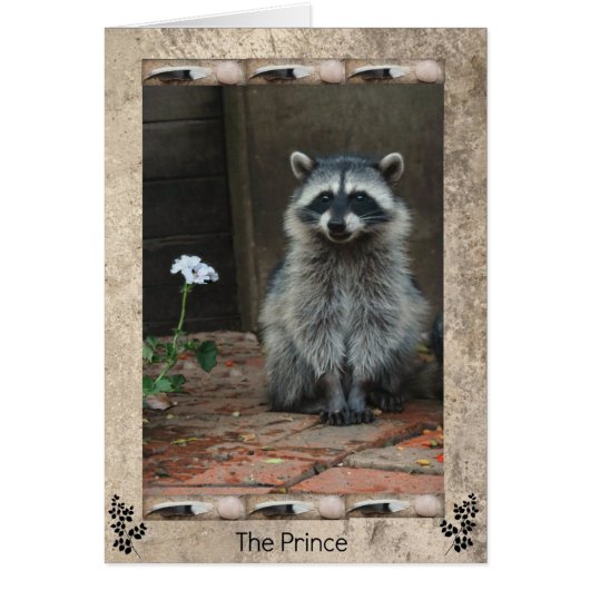 The Raccoon Prince Cards (Front)