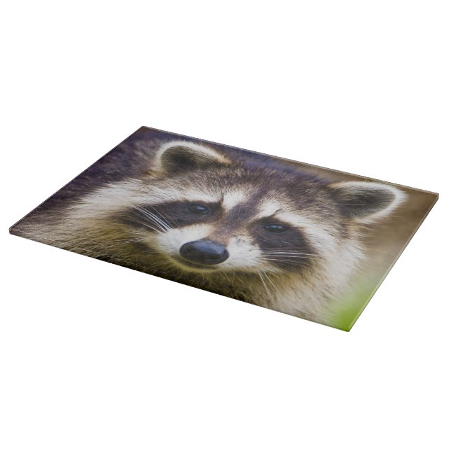 The raccoon, Procyon lotor Cutting Board (Corner)