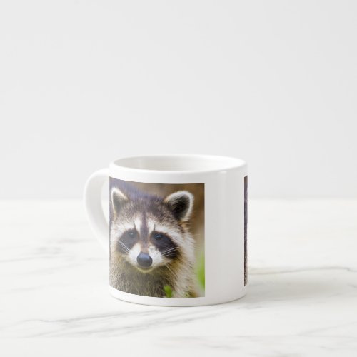The raccoon Procyon lotor is a widespread 3 Espresso Cup