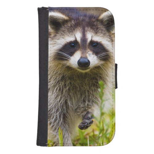 The raccoon Procyon lotor is a widespread 3 Wallet Phone Case For Samsung Galaxy S4