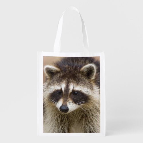 The raccoon Procyon lotor is a widespread Reusable Grocery Bag