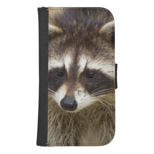 The raccoon Procyon lotor is a widespread Wallet Phone Case For Samsung Galaxy S4