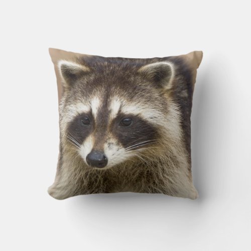 The raccoon Procyon lotor is a widespread Throw Pillow