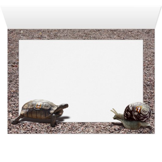 The Racer (Inside Horizontal (Bottom))