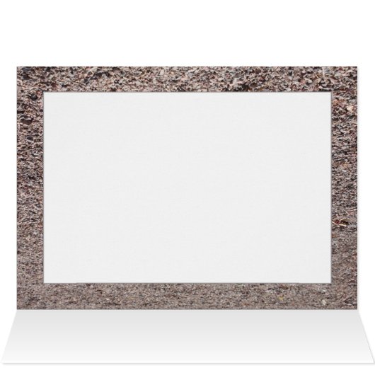 The Racer (Inside Horizontal (Top))