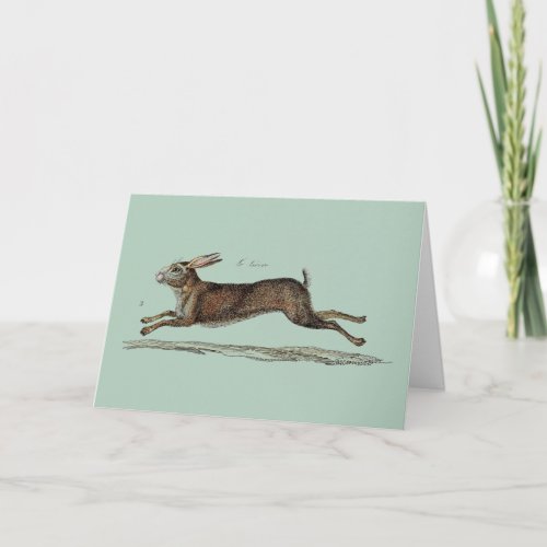 The Racing Hare at Easter Holiday Card