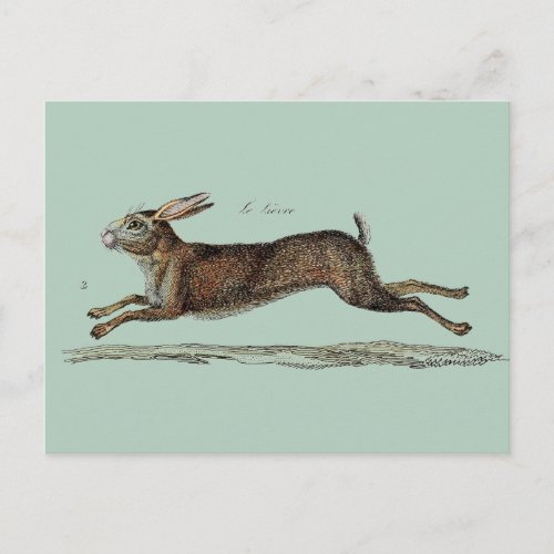 The Racing Hare at Easter Holiday Postcard