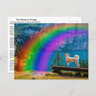 Rainbow Bridge Animals Postcards - No Minimum Quantity | Zazzle