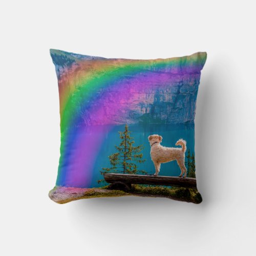 The Rainbow Bridge Poem In Memory of a Pet  Throw Pillow