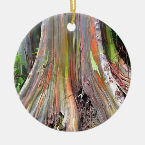 The Rainbow Eucalyptus Tree Products Ceramic Ornament