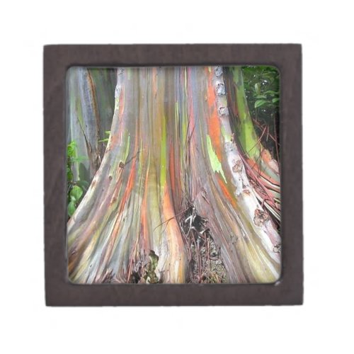 The Rainbow Eucalyptus Tree Products Keepsake Box