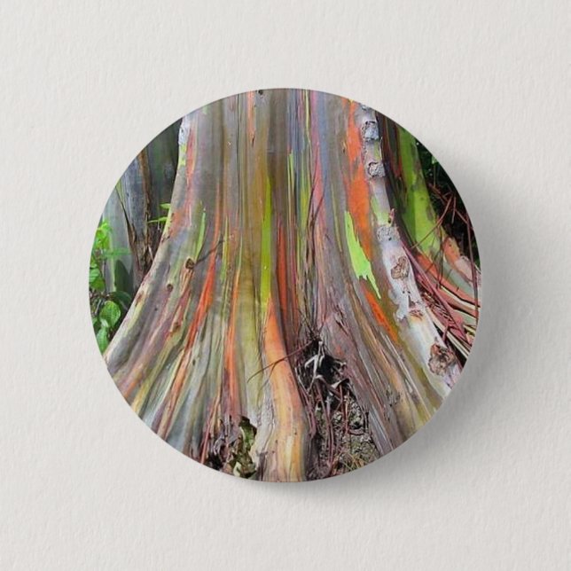 The Rainbow Eucalyptus Tree Products Pinback Button (Front)