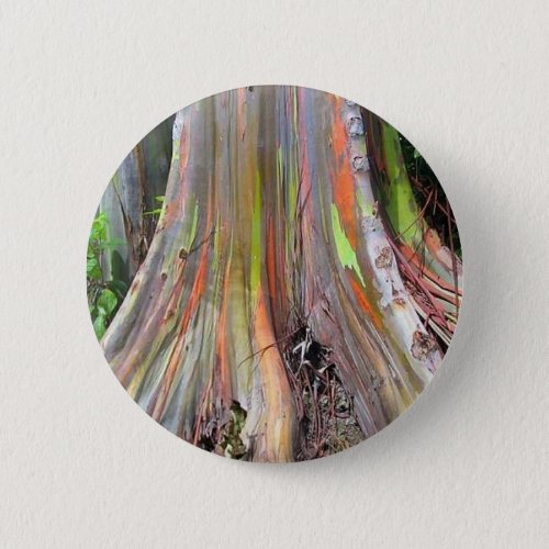 The Rainbow Eucalyptus Tree Products Pinback Button