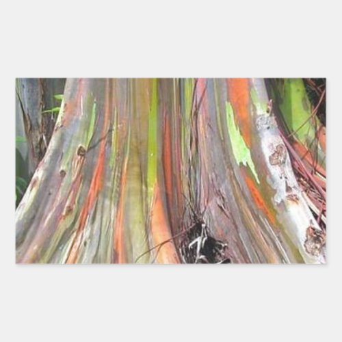 The Rainbow Eucalyptus Tree Products Rectangular Sticker