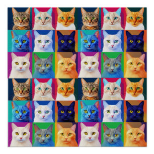 the rainbow of cats poster