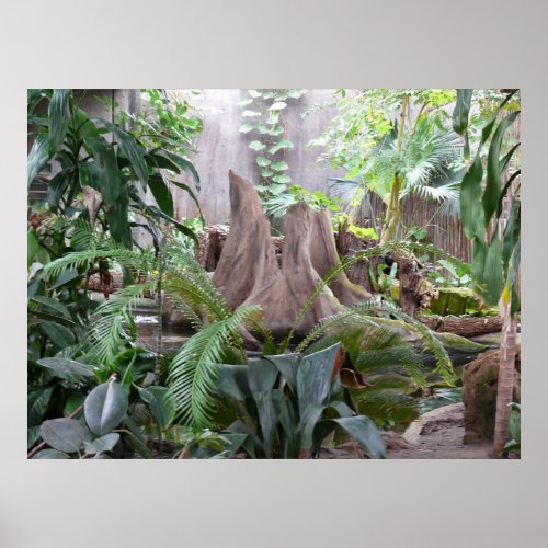 The Rainforest Poster
