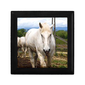 The Rancher: Images of a White Farm Horse Jewelry Boxes