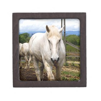 The Rancher: Images of a White Farm Horse Premium Keepsake Boxes