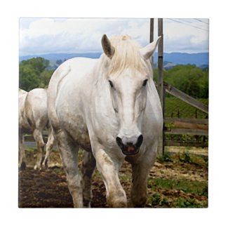 The Rancher: Images of a White Farm Horse Tile
