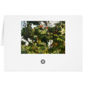 The Rapture (Back Horizontal)