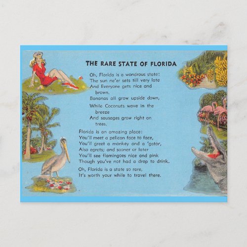 The Rare State of Florida Postcard