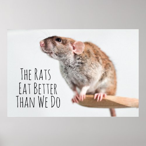 The rats eat better than we do poster