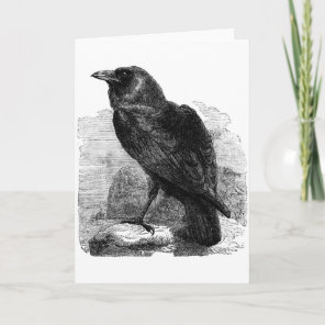 The Raven Card